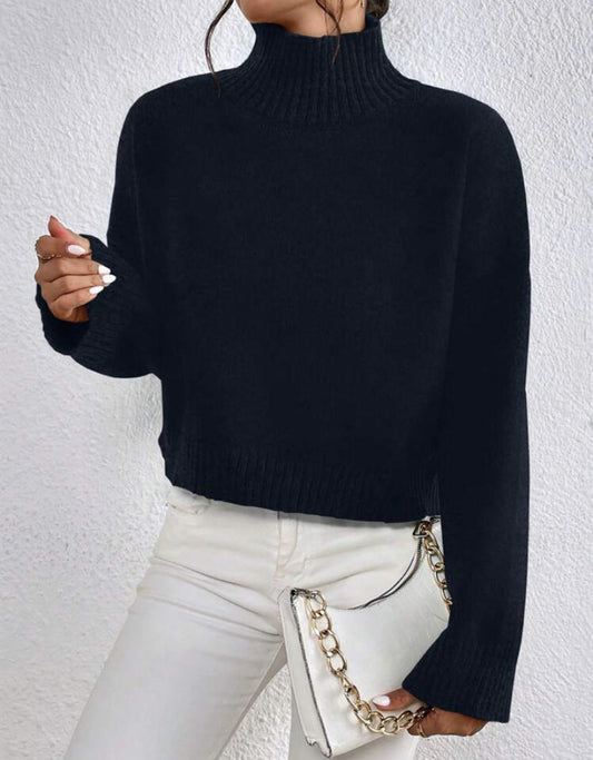 Relaxed Fit Half Turtleneck Pullover Sweater